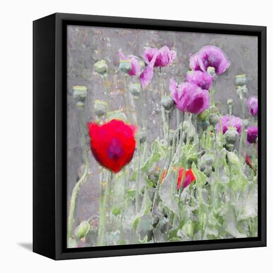 Poppies, 2018,-Helen White-Framed Premier Image Canvas