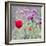 Poppies, 2018,-Helen White-Framed Giclee Print