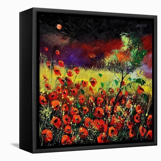 Poppies 7741-Pol Ledent-Framed Stretched Canvas