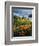 Poppies Along Coast CA USA-null-Framed Photographic Print