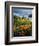 Poppies Along Coast CA USA-null-Framed Photographic Print