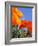 Poppies and Blue Sky, Antelope Valley Near Lancaster, California, Usa-Jamie & Judy Wild-Framed Photographic Print