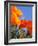 Poppies and Blue Sky, Antelope Valley Near Lancaster, California, Usa-Jamie & Judy Wild-Framed Photographic Print