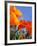 Poppies and Blue Sky, Antelope Valley Near Lancaster, California, Usa-Jamie & Judy Wild-Framed Photographic Print