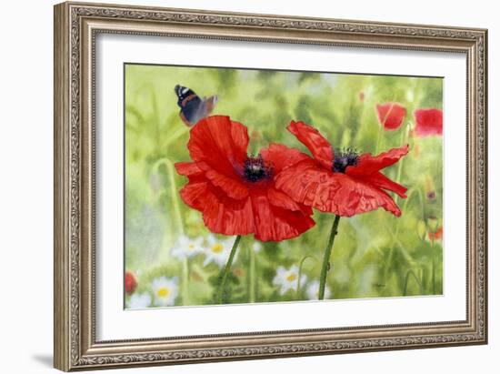 Poppies And Butterfly-Bill Makinson-Framed Giclee Print