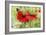 Poppies And Butterfly-Bill Makinson-Framed Giclee Print
