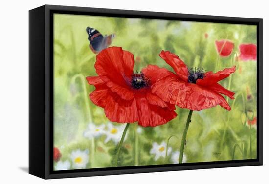 Poppies And Butterfly-Bill Makinson-Framed Premier Image Canvas