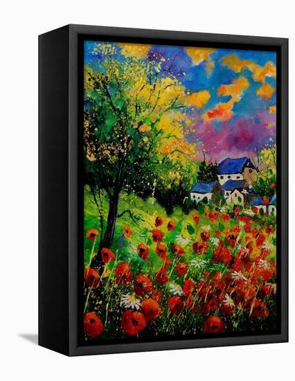 Poppies And Daisies 560110-Pol Ledent-Framed Stretched Canvas