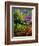 Poppies And Daisies 560110-Pol Ledent-Framed Premium Giclee Print
