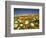 Poppies and Desert Dandelion in Spring Bloom, Lancaster, Antelope Valley, California, USA-Terry Eggers-Framed Photographic Print