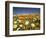 Poppies and Desert Dandelion in Spring Bloom, Lancaster, Antelope Valley, California, USA-Terry Eggers-Framed Photographic Print