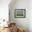 Poppies and Field of Wheat, Somme, Nord-Picardie (Picardy), France, Europe-David Hughes-Framed Photographic Print displayed on a wall