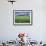 Poppies and Field of Wheat, Somme, Nord-Picardie (Picardy), France, Europe-David Hughes-Framed Photographic Print displayed on a wall