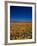 Poppies and Gilia Purple, Antelope Valley, California, USA-Terry Eggers-Framed Photographic Print