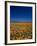 Poppies and Gilia Purple, Antelope Valley, California, USA-Terry Eggers-Framed Photographic Print