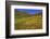 Poppies and Goldfields, Chino Hills State Park, California, United States of America, North America-Richard Cummins-Framed Photographic Print