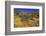 Poppies and Goldfields, Chino Hills State Park, California, United States of America, North America-Richard Cummins-Framed Photographic Print