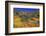 Poppies and Goldfields, Chino Hills State Park, California, United States of America, North America-Richard Cummins-Framed Photographic Print