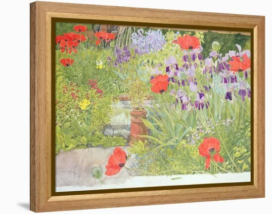 Poppies and Irises Near the Pond-Linda Benton-Framed Premier Image Canvas