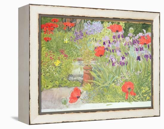 Poppies and Irises Near the Pond-Linda Benton-Framed Premier Image Canvas