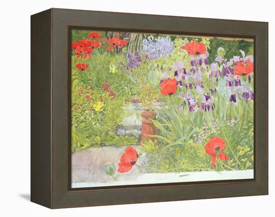 Poppies and Irises Near the Pond-Linda Benton-Framed Premier Image Canvas