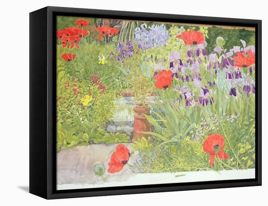 Poppies and Irises Near the Pond-Linda Benton-Framed Premier Image Canvas