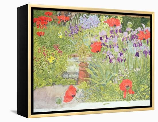 Poppies and Irises Near the Pond-Linda Benton-Framed Premier Image Canvas