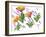 Poppies And Lavender-Wolf Heart Illustrations-Framed Giclee Print