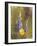 Poppies and Lupine-Trevor V. Swanson-Framed Giclee Print