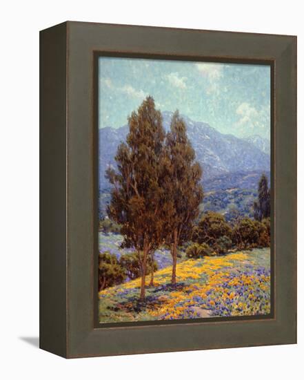 Poppies and Lupines-Granville Redmond-Framed Stretched Canvas
