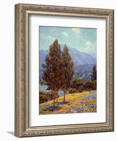 Poppies and Lupines-Granville Redmond-Framed Art Print