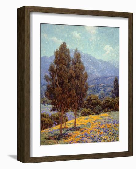 Poppies and Lupines-Granville Redmond-Framed Art Print