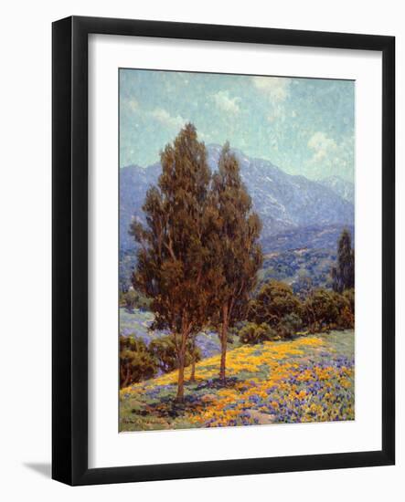 Poppies and Lupines-Granville Redmond-Framed Art Print