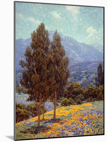 Poppies and Lupines-Granville Redmond-Mounted Art Print