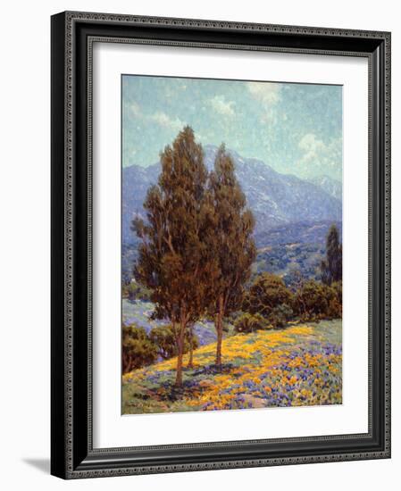 Poppies and Lupines-Granville Redmond-Framed Art Print