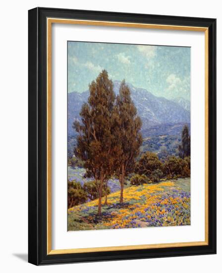 Poppies and Lupines-Granville Redmond-Framed Art Print