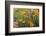 Poppies and Toadflax-DLILLC-Framed Photographic Print