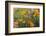 Poppies and Toadflax-DLILLC-Framed Photographic Print