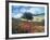 Poppies and Tree, Andalucia, Spain-Peter Adams-Framed Photographic Print
