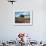 Poppies and Tree, Andalucia, Spain-Peter Adams-Framed Photographic Print displayed on a wall