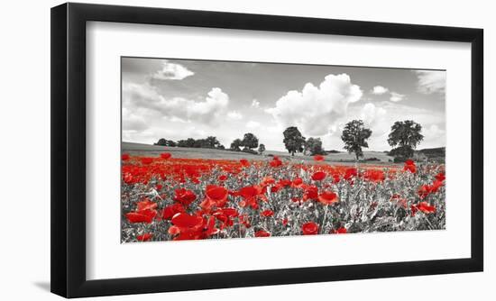 Poppies and vicias in meadow, Mecklenburg Lake District, Germany-Frank Krahmer-Framed Giclee Print