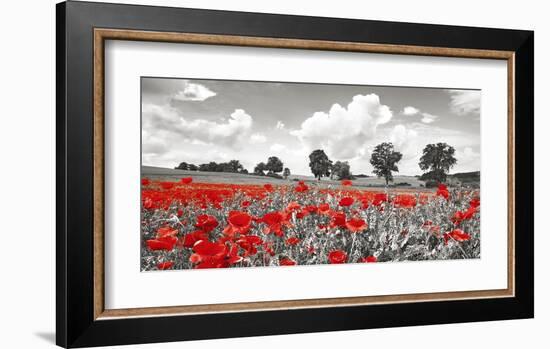 Poppies and vicias in meadow, Mecklenburg Lake District, Germany-Frank Krahmer-Framed Giclee Print