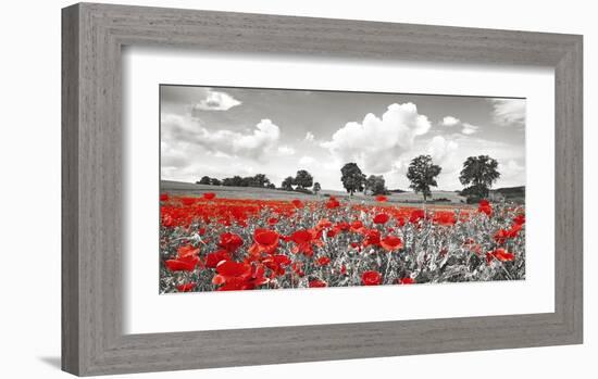 Poppies and vicias in meadow, Mecklenburg Lake District, Germany-Frank Krahmer-Framed Giclee Print