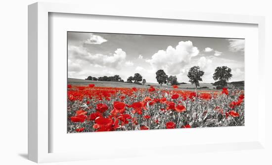 Poppies and vicias in meadow, Mecklenburg Lake District, Germany-Frank Krahmer-Framed Giclee Print