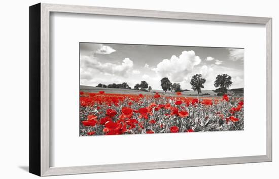 Poppies and vicias in meadow, Mecklenburg Lake District, Germany-Frank Krahmer-Framed Giclee Print