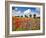 Poppies and vicias in meadow, Mecklenburg Lake District, Germany-Frank Krahmer-Framed Giclee Print