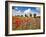 Poppies and vicias in meadow, Mecklenburg Lake District, Germany-Frank Krahmer-Framed Giclee Print