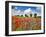 Poppies and vicias in meadow, Mecklenburg Lake District, Germany-Frank Krahmer-Framed Giclee Print