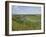 Poppies and Vineyards Along Border of Luxembourg and Germany, River Moselle (Mosel), Germany-James Emmerson-Framed Photographic Print