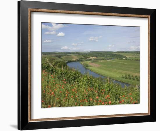 Poppies and Vineyards Along Border of Luxembourg and Germany, River Moselle (Mosel), Germany-James Emmerson-Framed Photographic Print